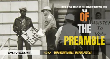 The Constitution's Promotion of the Preamble's Intent