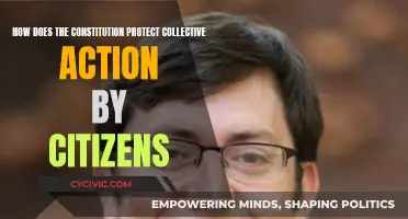 Citizens' Collective Action: Constitutional Safeguards and Empowerment