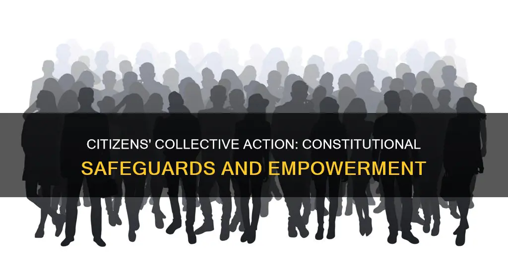 how does the constitution protect collective action by citizens