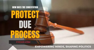 The Constitution's Due Process: Our Rights and Freedoms Protected