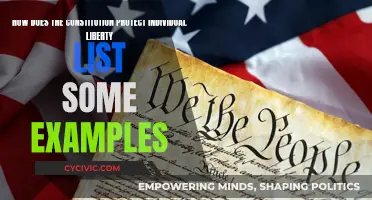 Safeguarding Individual Liberty: The US Constitution's Role