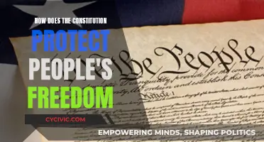 Protecting Freedom: The Constitution's Role and Relevance