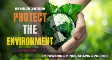 The Green Constitution: Environmental Protections and Law
