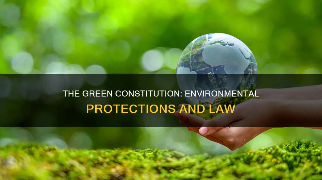 how does the constitution protect the environment