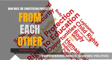 The Constitution: Our Mutual Protection Pact