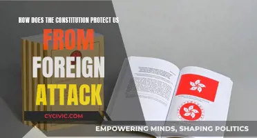 The Constitution: Our Defense Against Foreign Attack
