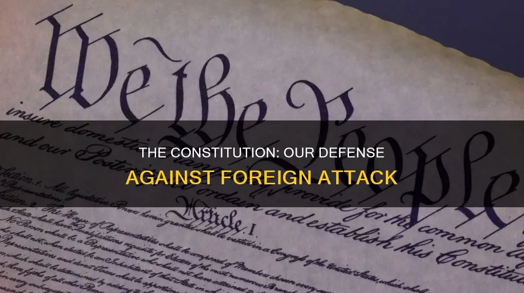 how does the constitution protect us from foreign attack