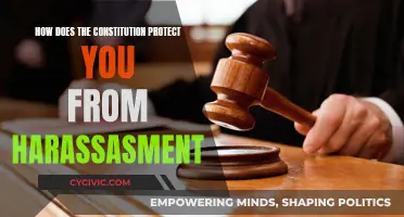 The Constitution: Your Defense Against Harassment