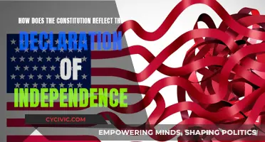 Constitution and Declaration: Shared Ideals, Different Functions