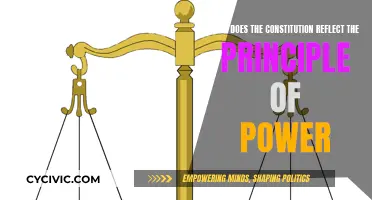The Constitution: Power's Principles in Action