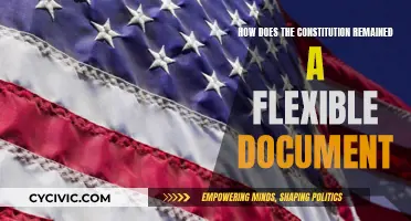 The Constitution: Adapting to Change