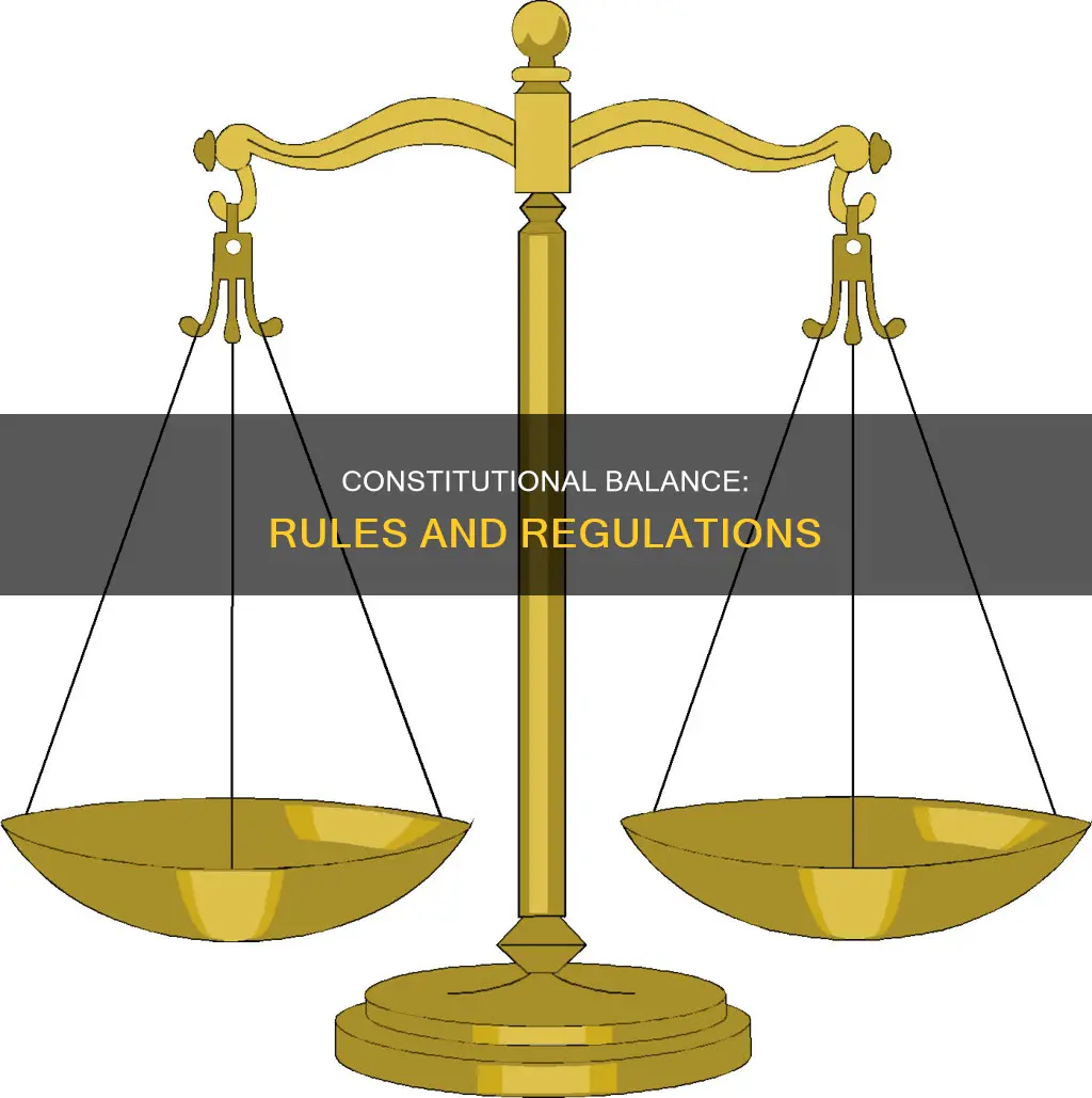 how does the constitution requalte rules and regulations