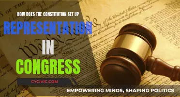Congressional Representation: Constitutional Framework