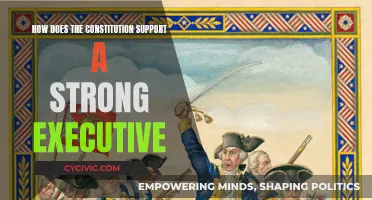 Executive Power: The Constitution's Strong Leadership Vision