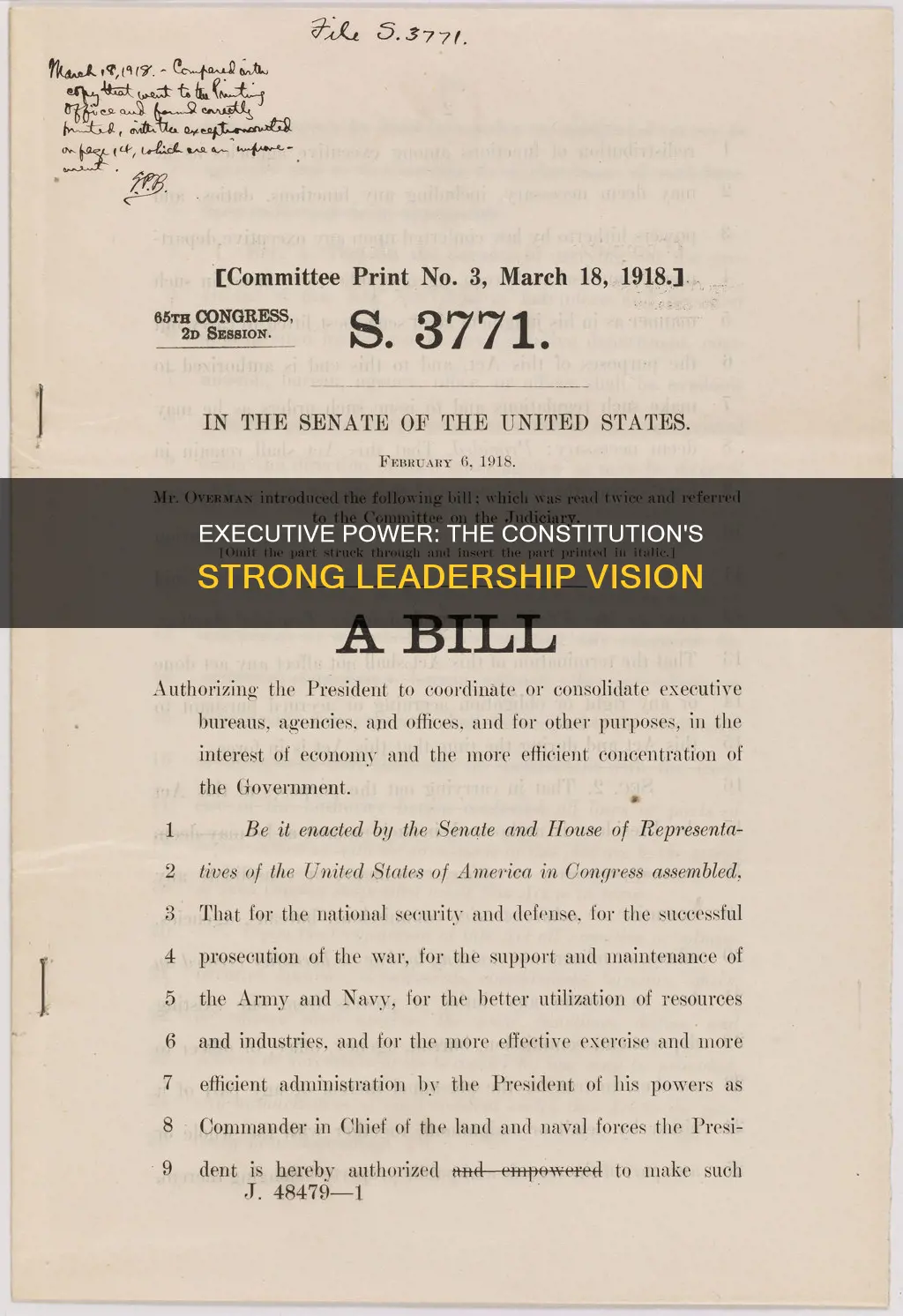 how does the constitution support a strong executive