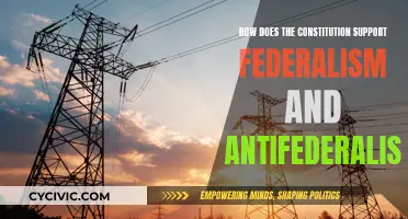 Federalism and Antifederalism: The Constitution's Role