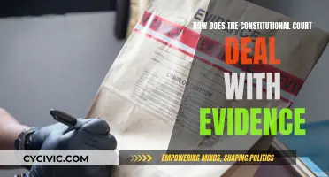 Constitutional Court: Evidence and Its Handling