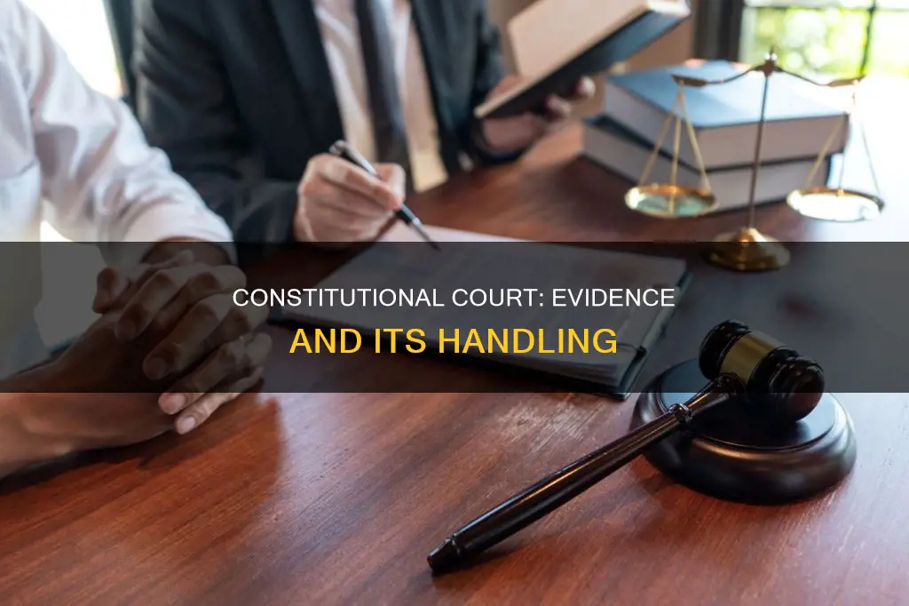 how does the constitutional court deal with evidence