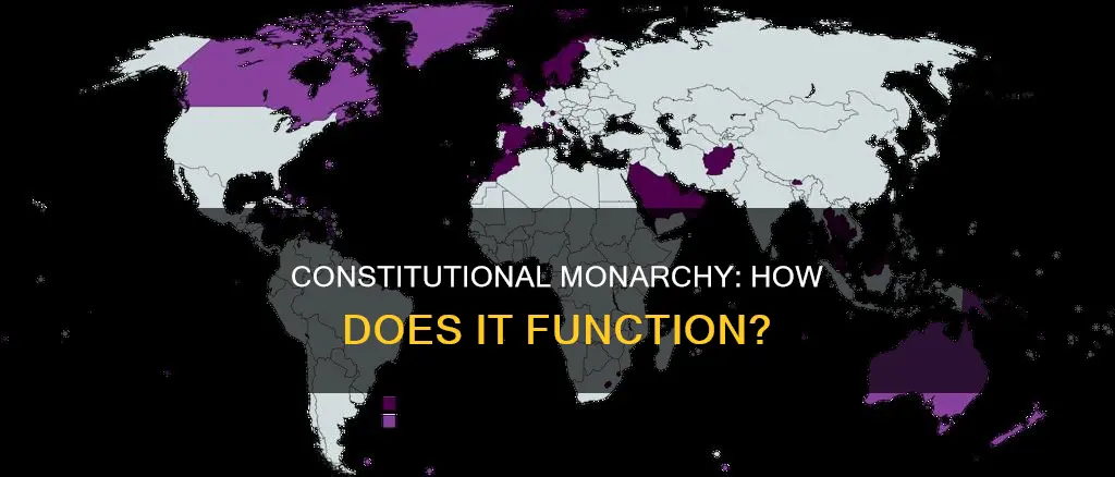 how does the constitutional monarchy work