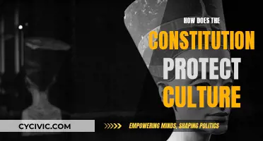 Constitutional Safeguards: Preserving Cultural Identity and Expression