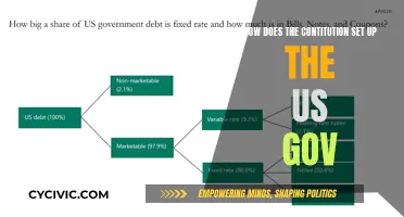 US Constitution: Setting Up the Government