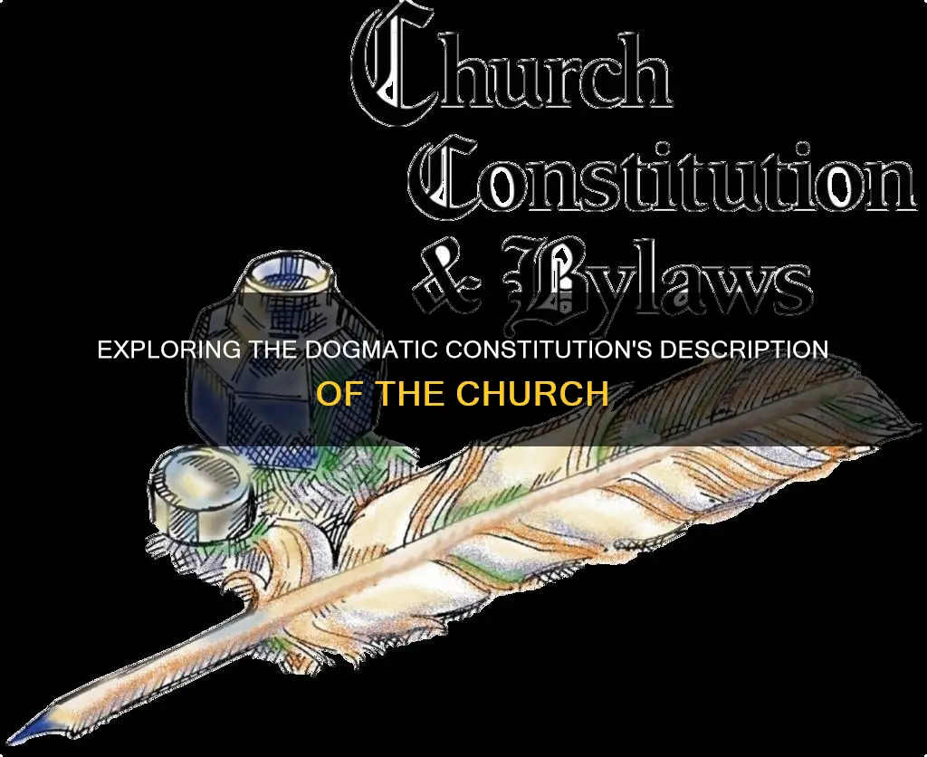 how does the dogmatic constitution on the church describe