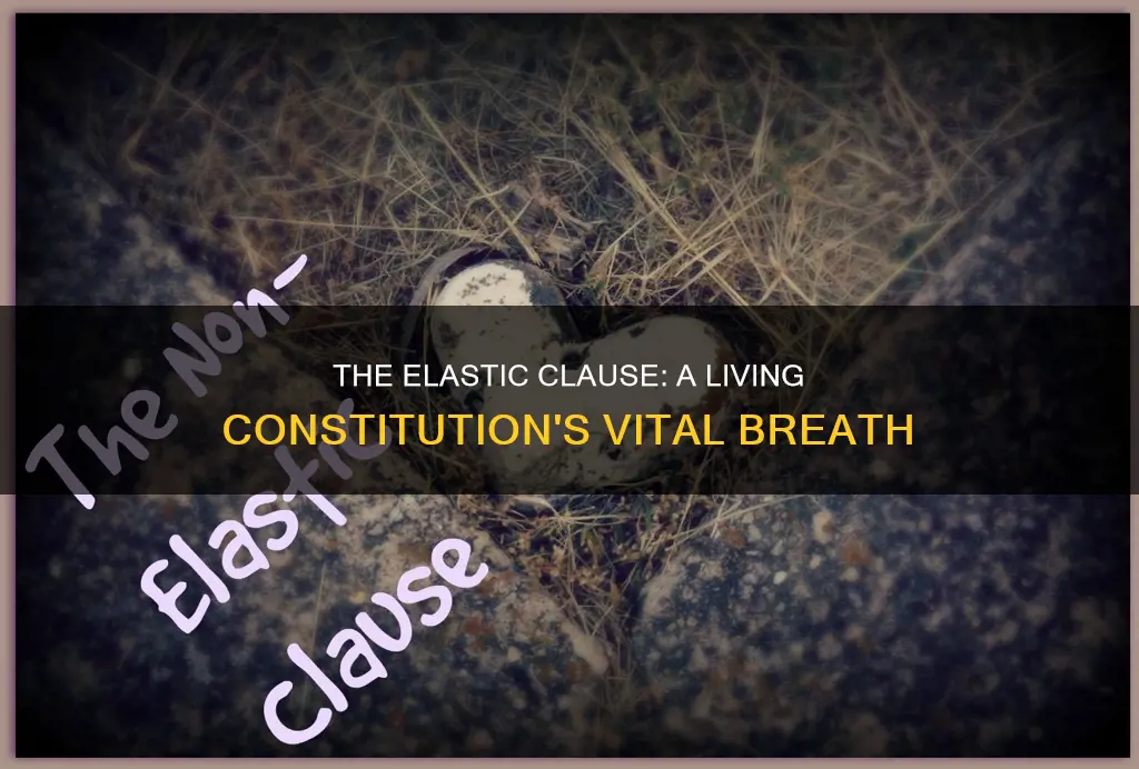 how does the elastic clause give breath to the constitution