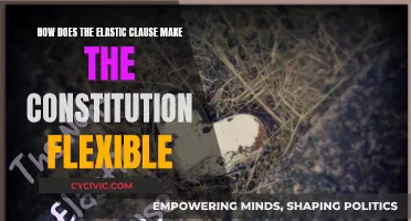 The Elastic Clause: A Flexible Constitution?