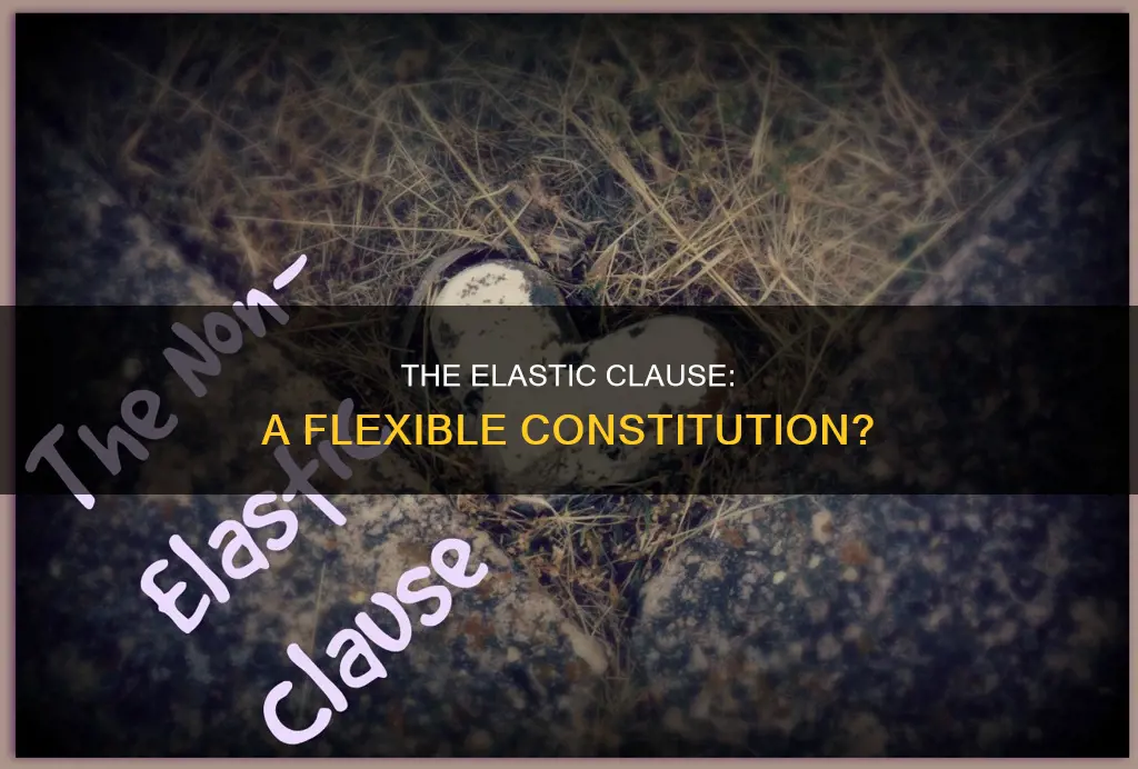 how does the elastic clause make the constitution flexible