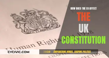 The EU's Influence on the UK Constitution