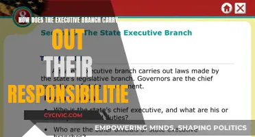 Executive Branch: Power and Responsibility Explained