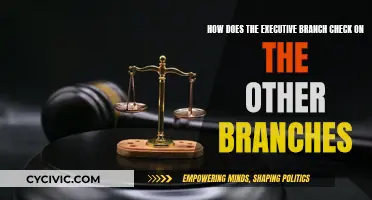 Executive Oversight: Checking the Branches' Powers
