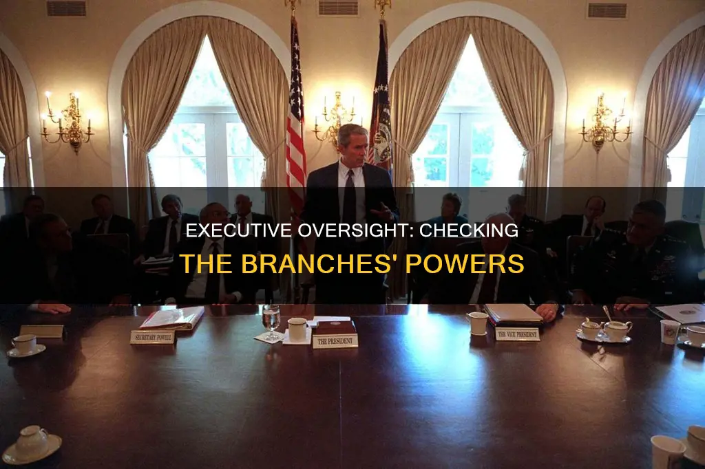 how does the executive branch check on the other branches