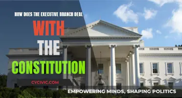 Executive Power: Interpreting the Constitution