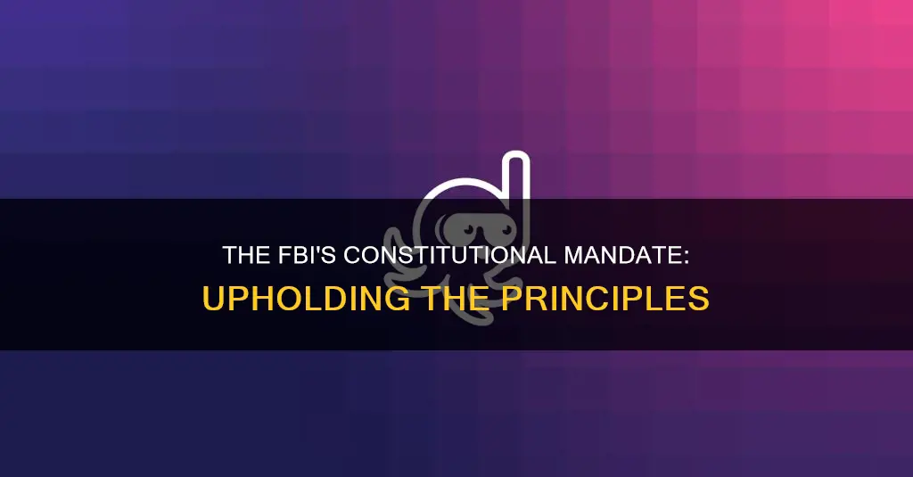how does the fbi reflect the constitutional principles