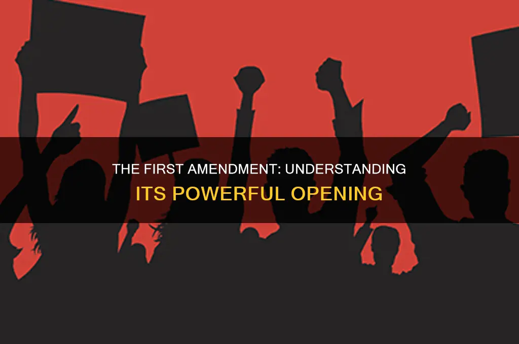 how does the first amendment begin