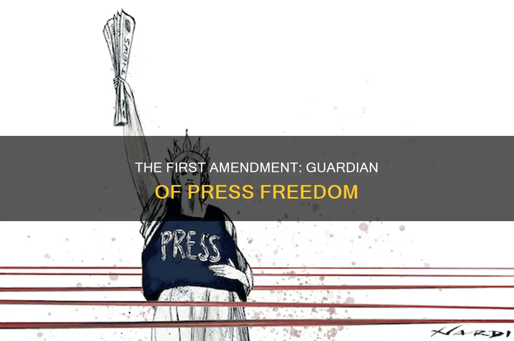 how does the first amendment protect freedom of the press