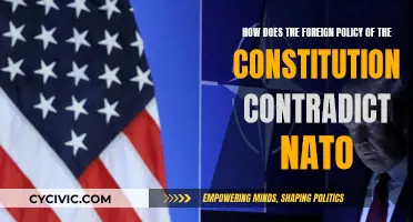 Foreign Policy: NATO vs. The Constitution