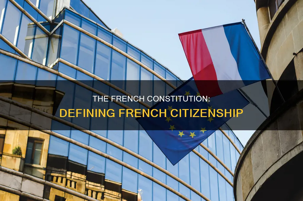 how does the french constitution define french people