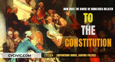 The House of Burgesses: Constitution's Roots