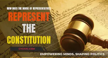 Representatives: Guardians of the Constitution