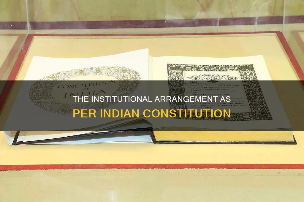 how does the indian constitution describe the institutional arrangement