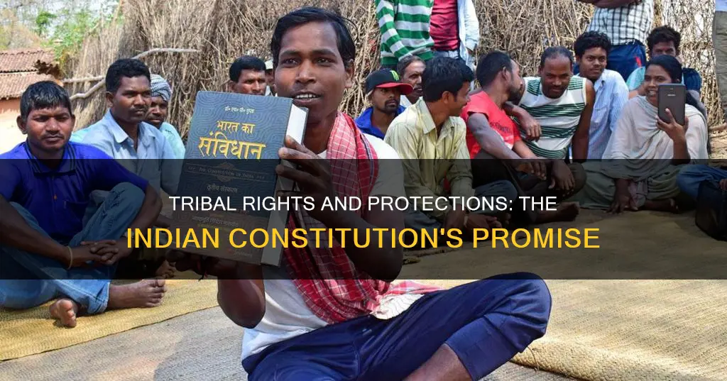 how does the indian constitution protect tribes