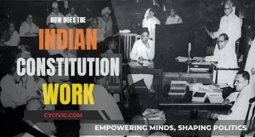 Understanding the Indian Constitution: A Working Guide