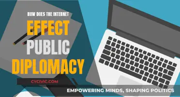The Internet's Impact on Public Diplomacy: A Complex Web