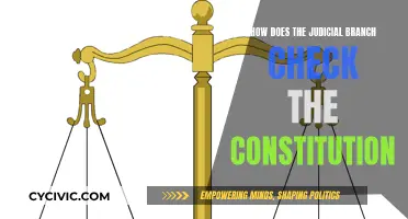 The Judicial Branch: Interpreting and Protecting the Constitution