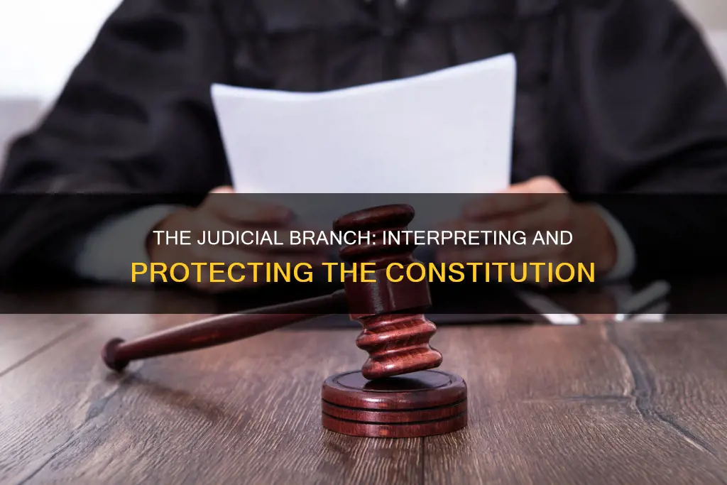 how does the judicial branch check the constitution