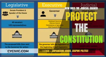 The Judicial Branch: Protecting the Constitution's Integrity