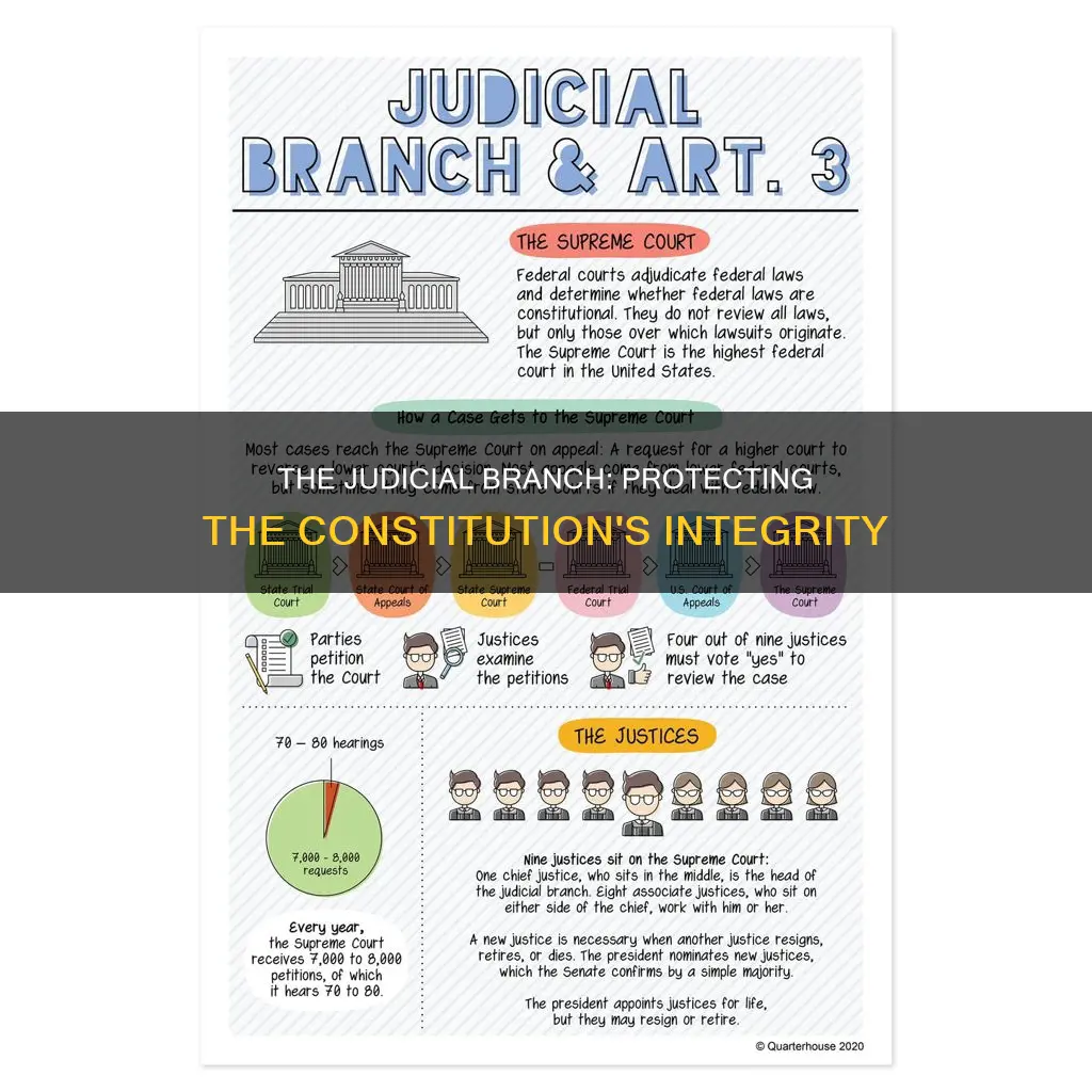 how does the judicial branch protect the constitution
