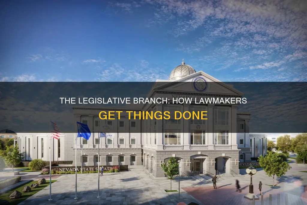 how does the legislative branch carry out there job